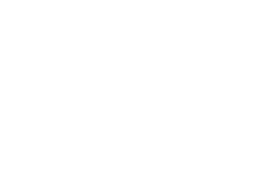 ZIK AUDIO